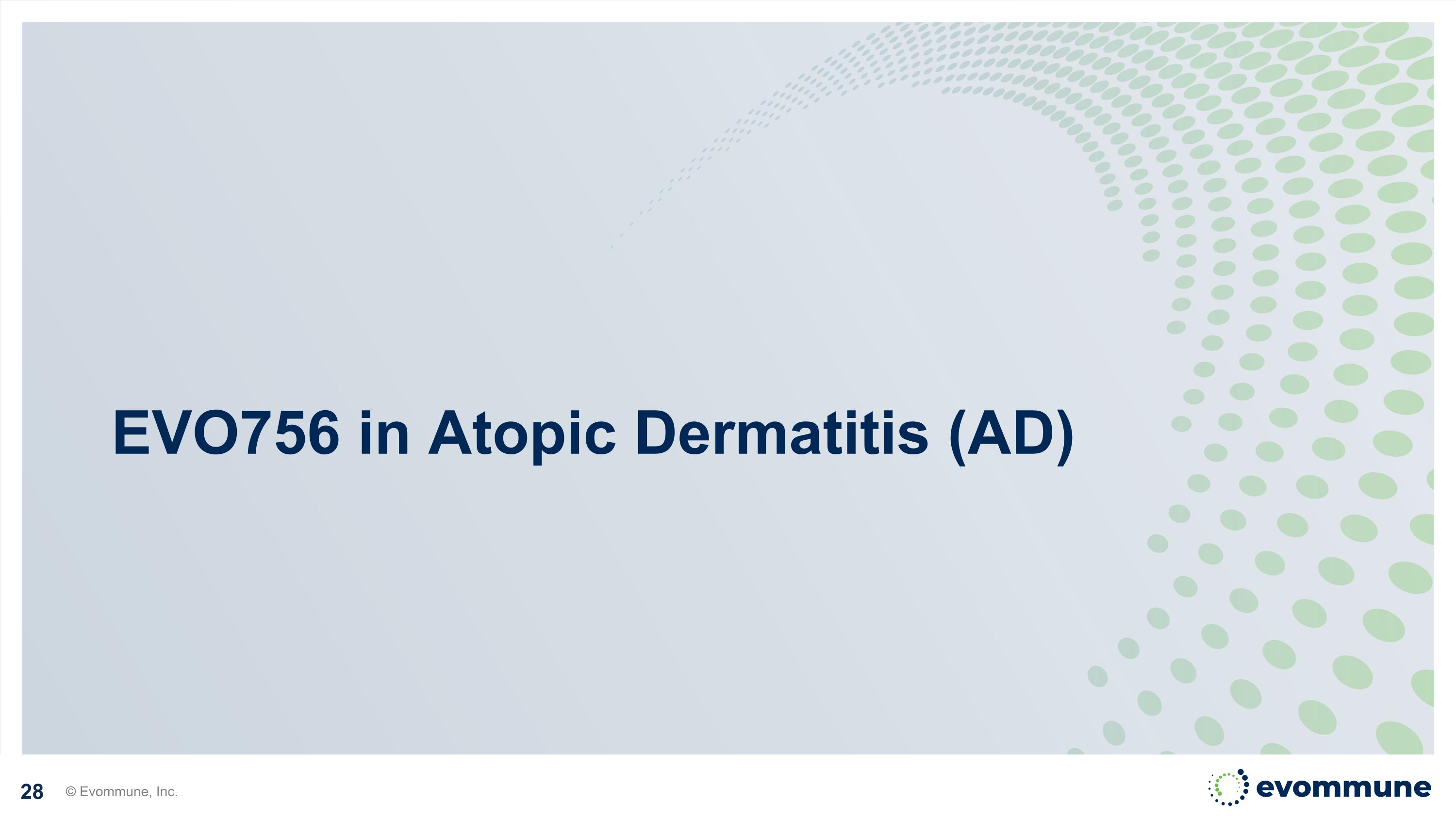 Slide 28