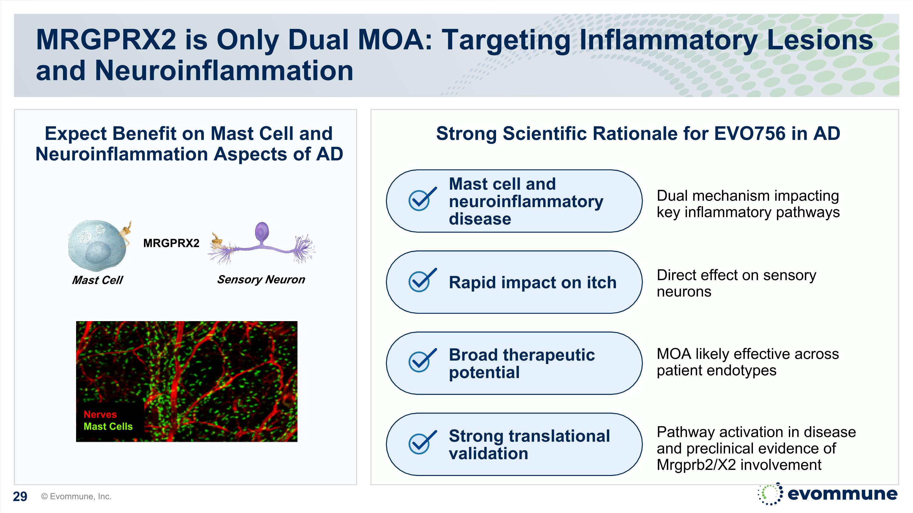 Slide 29