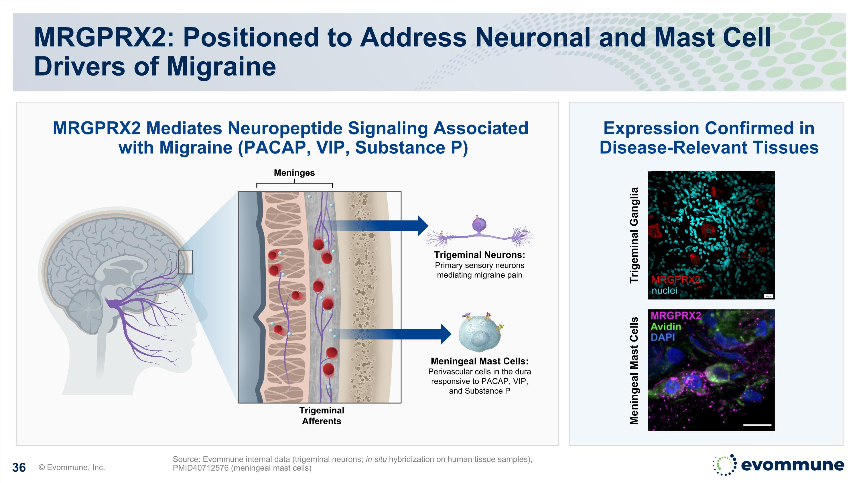 Slide 36